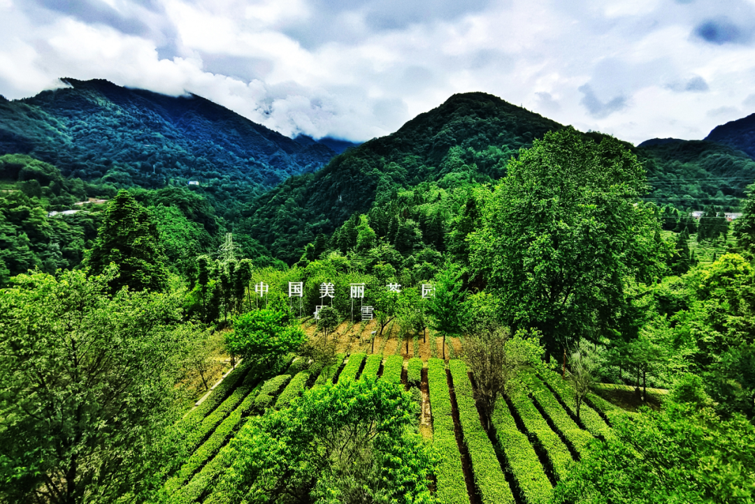 亚游集团·AG8(中国)官网 -只为非凡