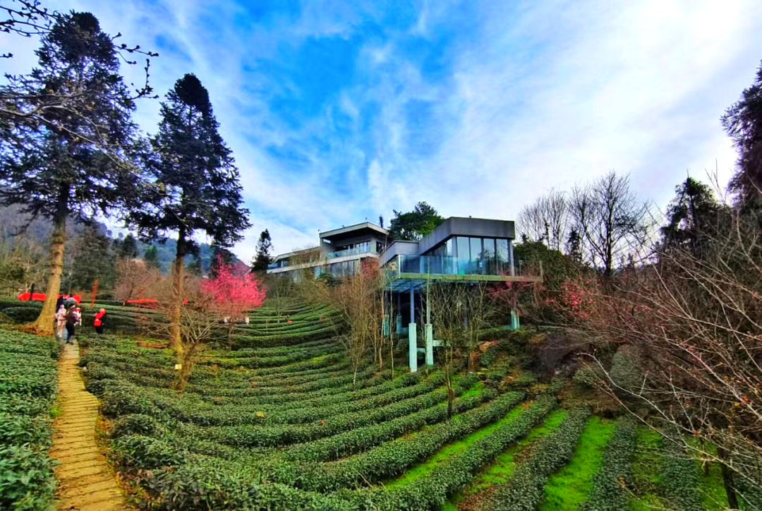 亚游集团·AG8(中国)官网 -只为非凡